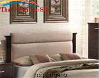 Kendra Queen Platform Bed Microfiber Headboard by Coaster Furniture 