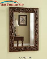 Accent Mirrors Traditional Wall Mirror by Coaster Furniture 